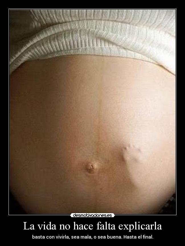 La vida no hace falta explicarla - basta con vivirla, sea mala, o sea buena. Hasta el final.