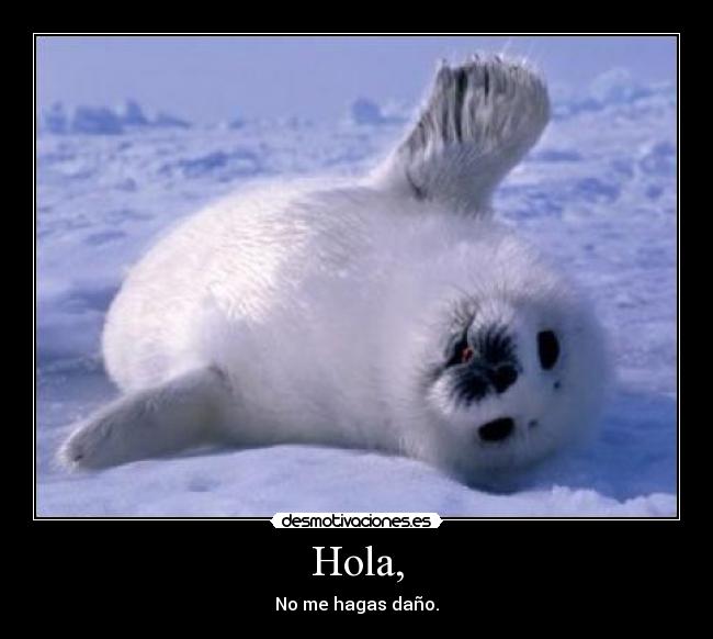 Hola, - No me hagas daño.