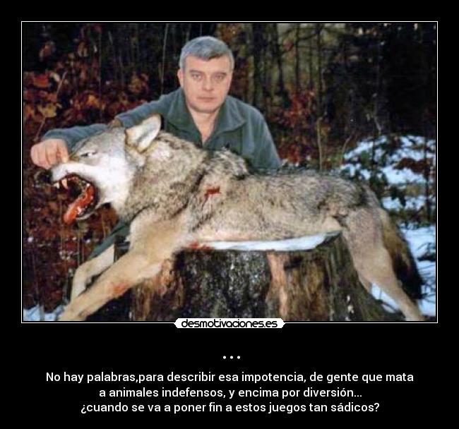 ... - No hay palabras,para describir esa impotencia, de gente que mata
a animales indefensos, y encima por diversión...
¿cuando se va a poner fin a estos juegos tan sádicos?