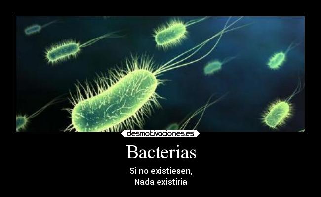 Bacterias - Si no existiesen,
Nada existiria