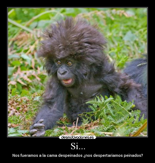 Si... - Nos fueramos a la cama despeinados ¿nos despertariamos peinados?