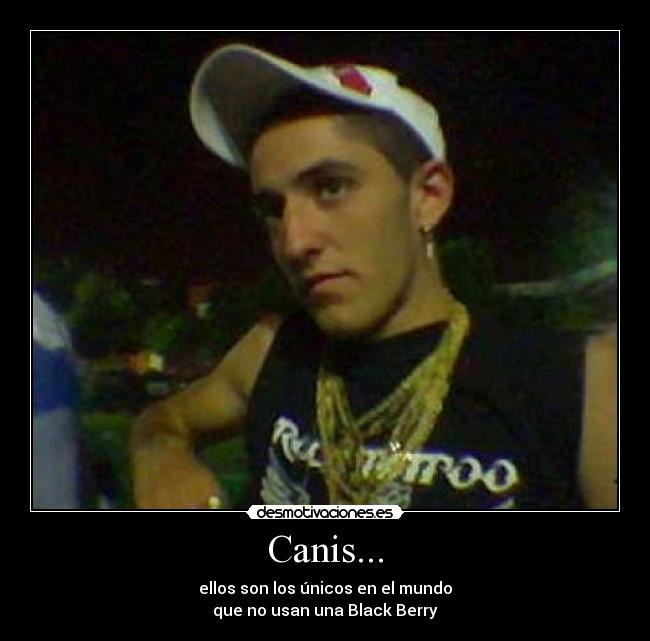 Canis... -
