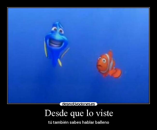 Desde que lo viste - 