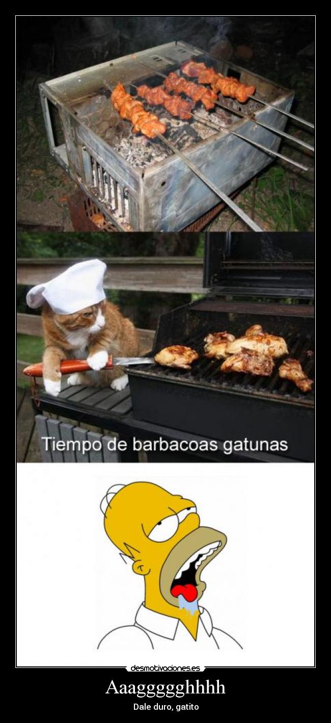 Aaaggggghhhh - Dale duro, gatito