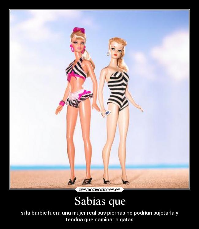 Sabias que - si la barbie fuera una mujer real sus piernas no podrían sujetarla y
tendría que caminar a gatas
