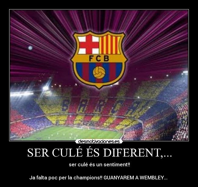 SER CULÉ ÉS DIFERENT,... - 