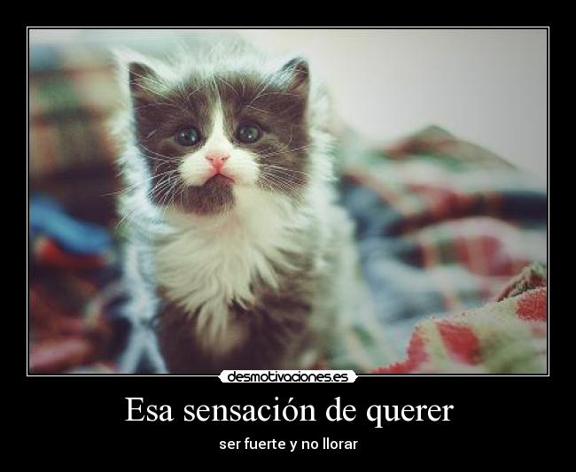 Esa sensación de querer -