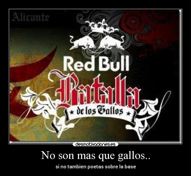 No son mas que gallos.. -
