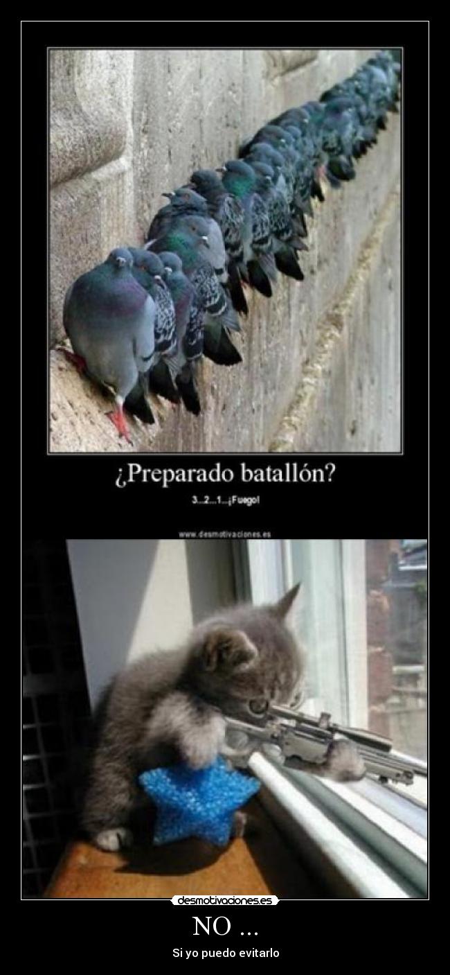 carteles palomas desmotivaciones