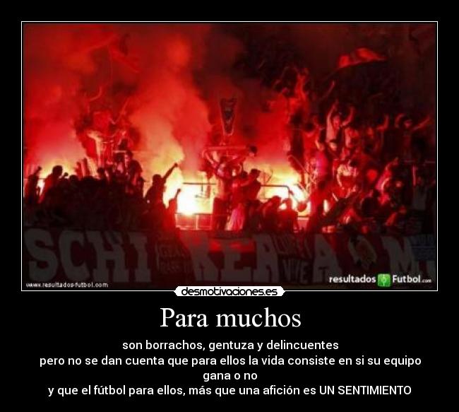 Para muchos - son borrachos, gentuza y delincuentes
pero no se dan cuenta que para ellos la vida consiste en si su equipo gana o no
y que el fútbol para ellos, más que una afición es UN SENTIMIENTO