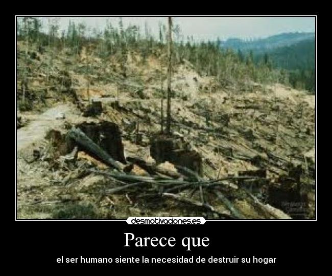 carteles dispot desmotivaciones