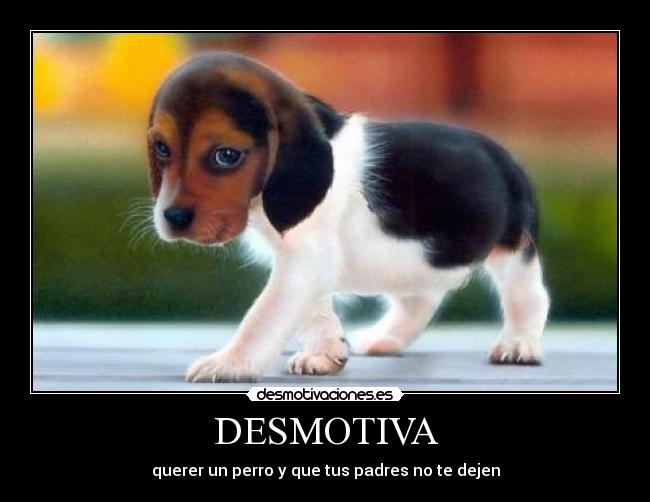 DESMOTIVA -