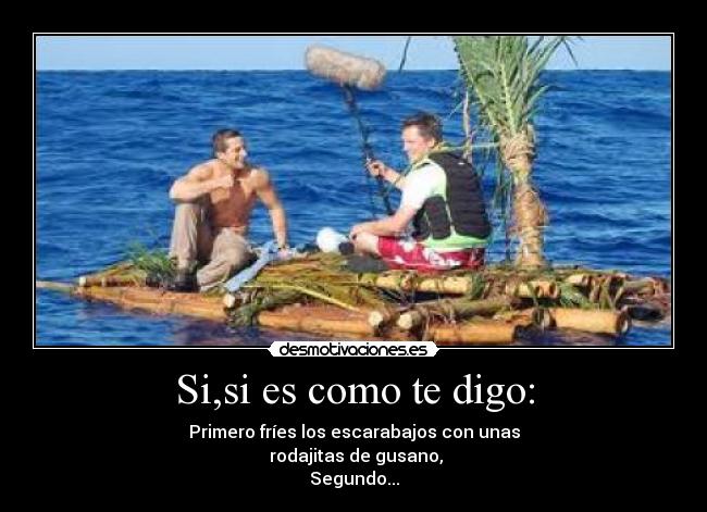 Si,si es como te digo: - Primero fríes los escarabajos con unas
 rodajitas de gusano,
Segundo...