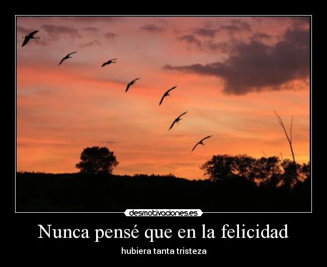 Nunca pensé que en la felicidad - 