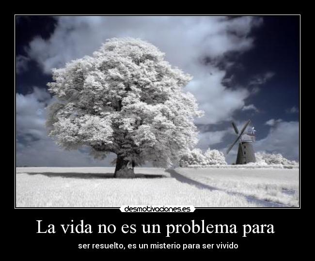 La vida no es un problema para -