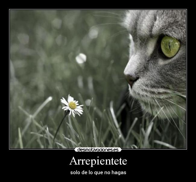Arrepientete - 