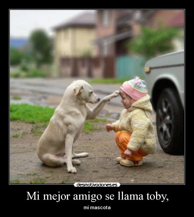 Mi mejor amigo se llama toby, -