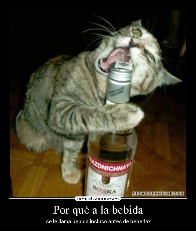 carteles bebida por que preguntas desmotivaciones