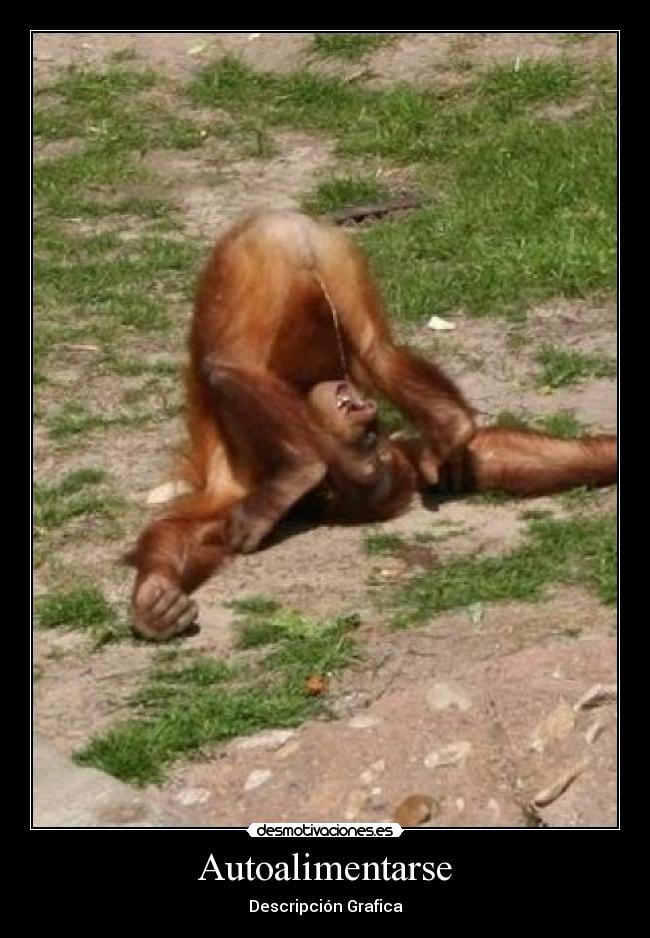Autoalimentarse - 