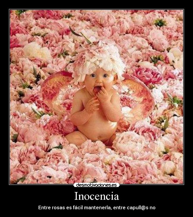 Inocencia -