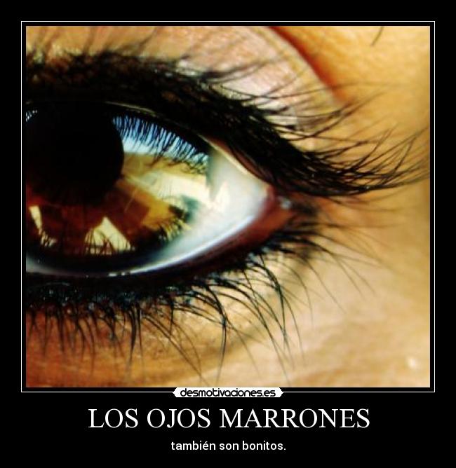 LOS OJOS MARRONES - también son bonitos.