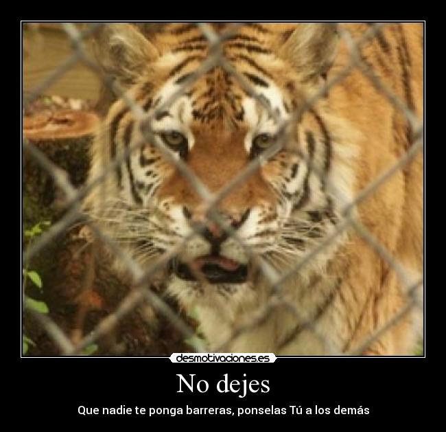 No dejes - Que nadie te ponga barreras, ponselas Tú a los demás