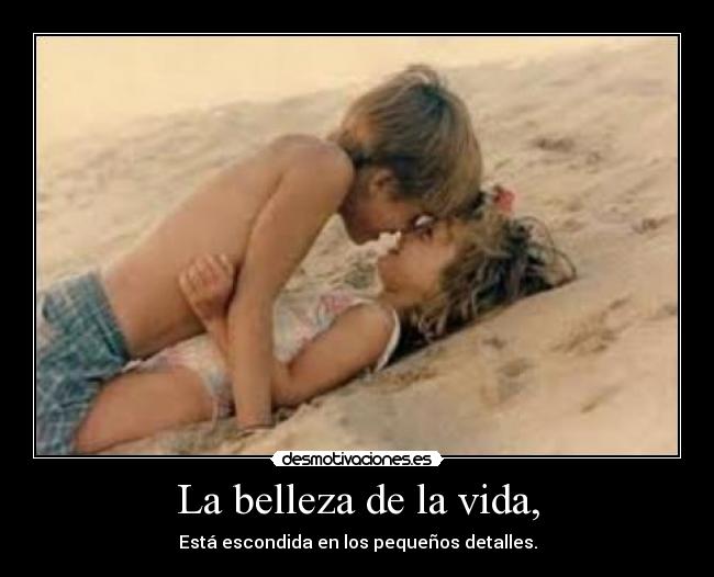 La belleza de la vida, -