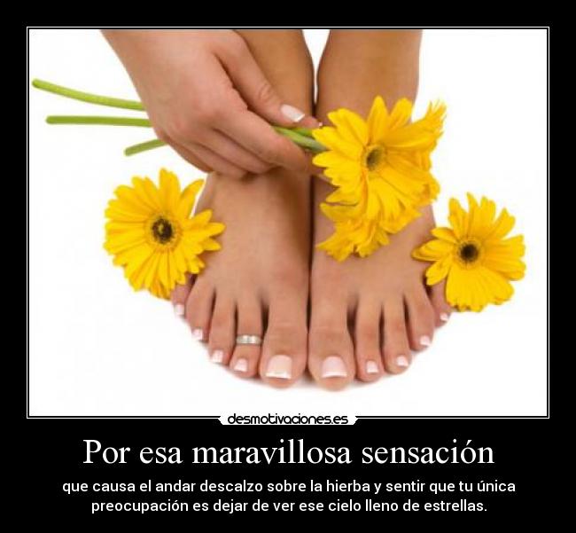 carteles vida desmotivaciones