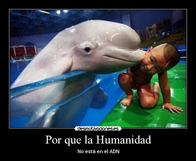 Por que la Humanidad - 