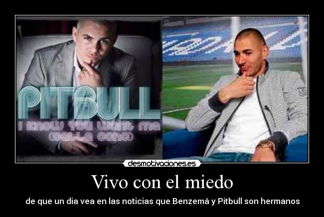 Vivo con el miedo - de que un dia vea en las noticias que Benzemá y Pitbull son hermanos