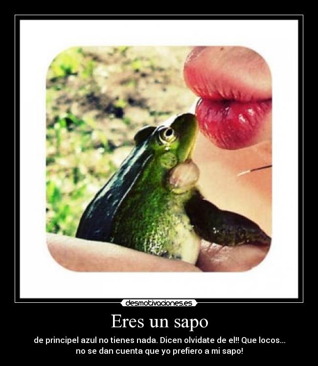 Eres un sapo - 