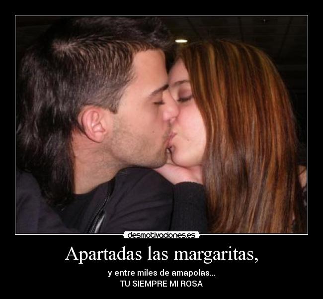 Apartadas las margaritas, - y entre miles de amapolas...
TU SIEMPRE MI ROSA