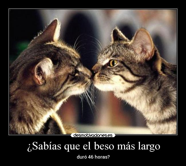 ¿Sabías que el beso más largo - duró 46 horas?