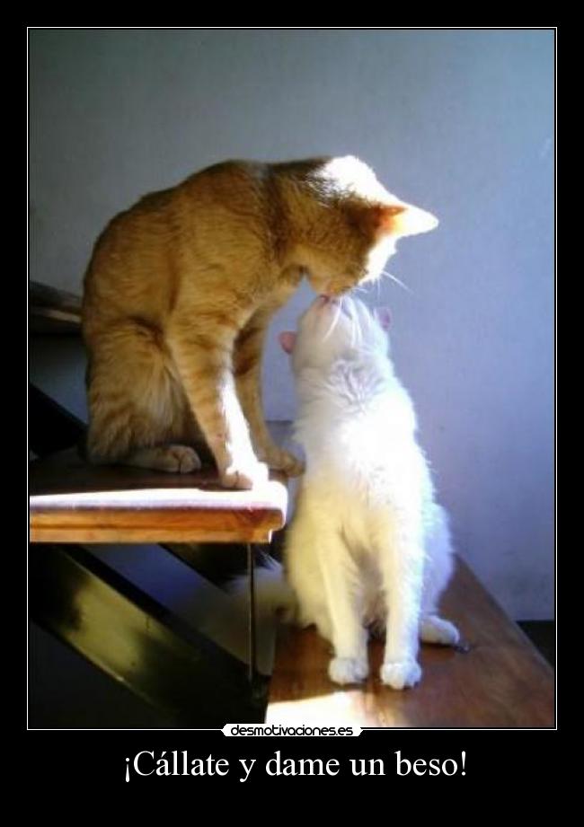 ¡Cállate y dame un beso! -