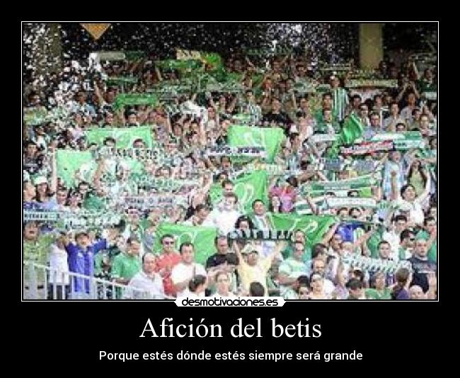 Afición del betis -