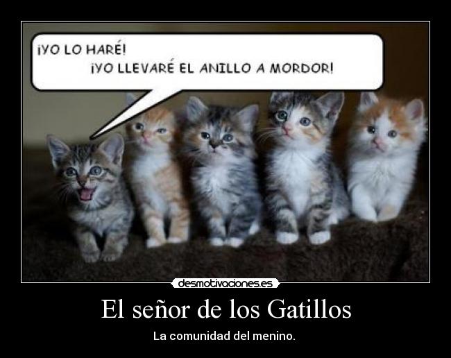 El señor de los Gatillos -