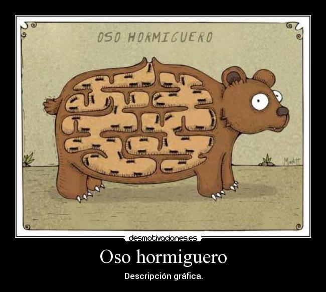 Oso hormiguero -
