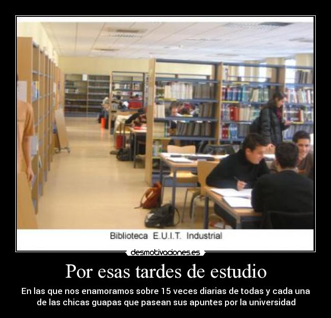 Por esas tardes de estudio - 