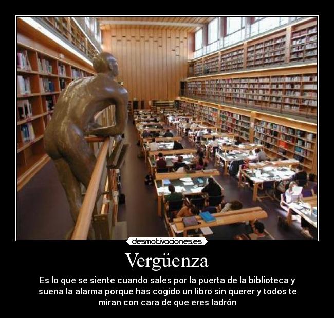 carteles gallego desmotivaciones