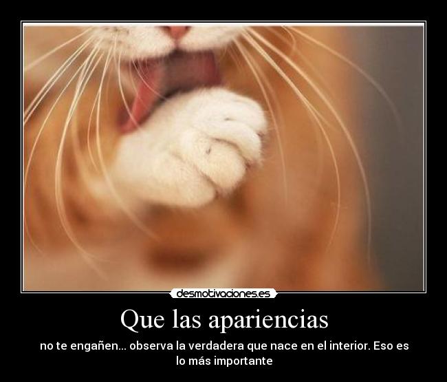 Que las apariencias - no te engañen... observa la verdadera que nace en el interior. Eso es
lo más importante