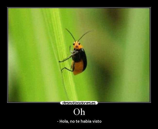 Oh - - Hola, no te había visto
