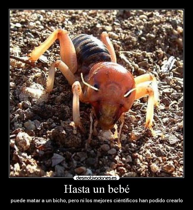 Hasta un bebé -