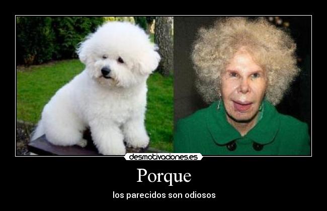 Porque - los parecidos son odiosos