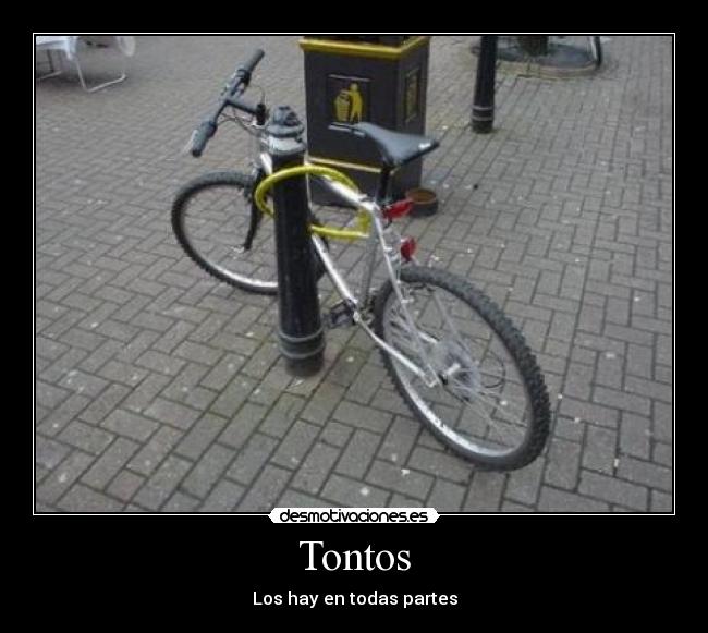 Tontos - Los hay en todas partes