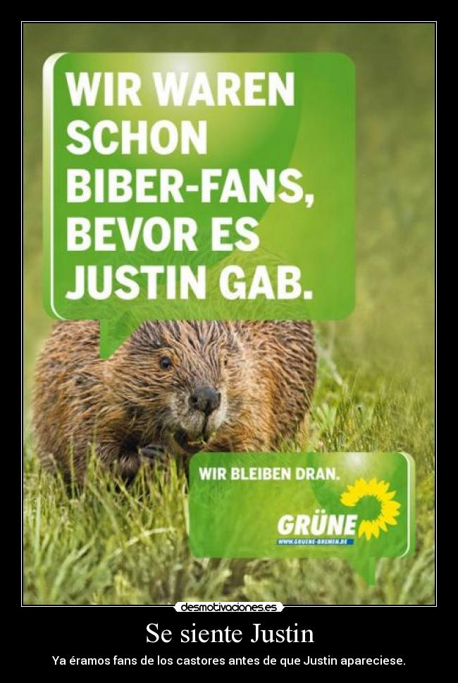 Se siente Justin - Ya éramos fans de los castores antes de que Justin apareciese.