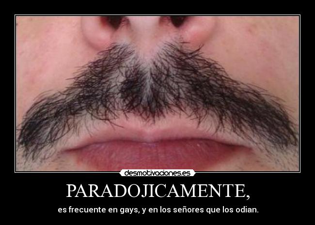 PARADOJICAMENTE, -