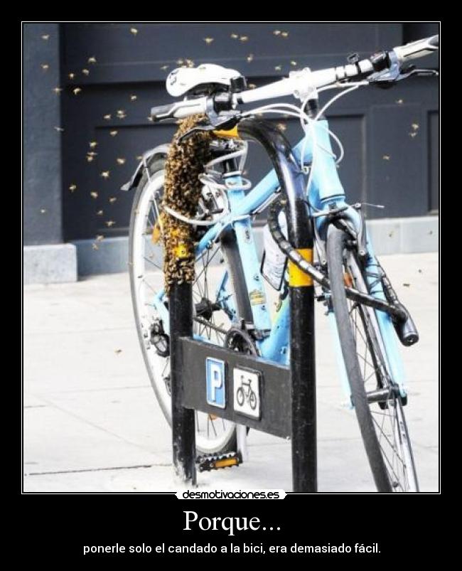 Porque... - ponerle solo el candado a la bici, era demasiado fácil.