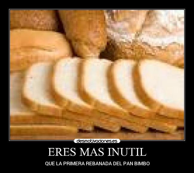 carteles quinico desmotivaciones