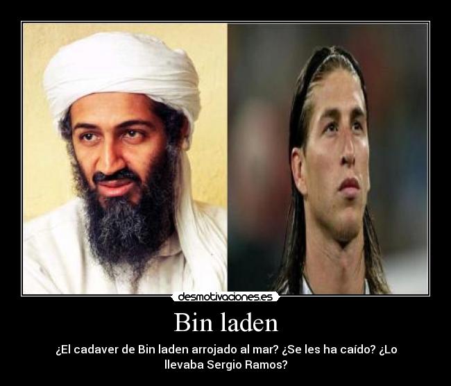 Bin laden -