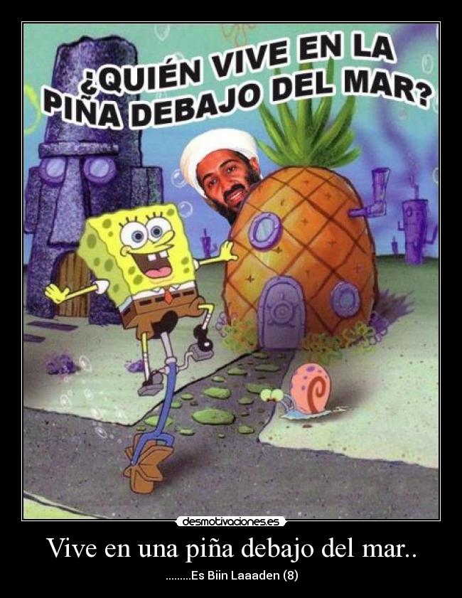 Vive en una piña debajo del mar.. -